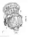 Fig. 19 - High efficiency, high output transmission