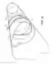 Fig. 12 - Valve insert