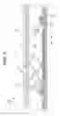 Fig. 05 - Light emitting device having half mirror with light reflecting layer