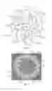 Fig. 07 - Light emitting diode recessed light fixture
