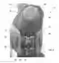 Fig. 07 - Body Armor