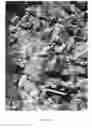 Fig. 13 - Automated mobile geotechnical mapping