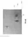 Fig. 08 - SYSTEMS AND METHODS TO DETERMINE SAFE ZONES AND SAFE ROUTES OF A DEVICE