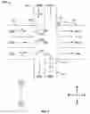 Fig. 04 - VEHICULAR TRAFFIC PATTERN APPLICATION