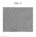Fig. 03 - Measuring frequency of pathogen-specific T cells in peripheral blood