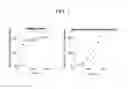 Fig. 12 - Measuring frequency of pathogen-specific T cells in peripheral blood