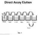 Fig. 06 - Immunoassay with enhanced sensitivity