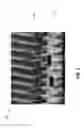 Fig. 04 - Specialized diamond materials for NMR applications