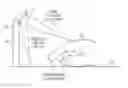 Fig. 01 - Occlusion-based height estimation