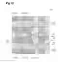 Fig. 13 - Radiation position detection method, radiation position detector, and pet apparatus
