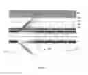 Fig. 04 - Detecting Anomalies in Annular Materials of Single and Dual Casing String Environments