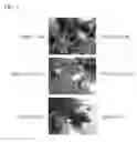 Fig. 04 - Apparatus for radiometric correction and orthorectification of aerial imagery