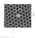 Fig. 06 - Supercontinuum light source comprising microstructured optical fiber