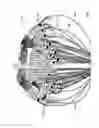 Fig. 06 - Optical fiber clip