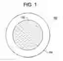 Fig. 02 - INCREASED STIFFNESS CENTER OPTIC IN SOFT CONTACT LENSES FOR ASTIGMATISM CORRECTION