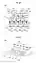 Fig. 07 - FPC-attached optical modulator and optical transmission apparatus using same