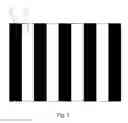 Fig. 04 - Transparent liquid crystal display