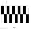 Fig. 06 - Transparent liquid crystal display