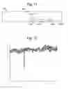Fig. 08 - Inspection substrate and an inspection method