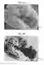 Fig. 03 - Toner, developer, toner storage unit, and image forming apparatus