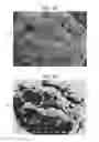 Fig. 04 - Toner, developer, toner storage unit, and image forming apparatus