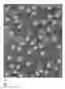 Fig. 05 - Toner, developer, toner storage unit, and image forming apparatus