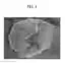 Fig. 06 - Toner, developer, toner storage unit, and image forming apparatus