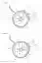 Fig. 09 - Image forming apparatus