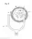 Fig. 06 - Regulating system for a mechanical watch