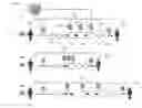 Fig. 01 - The Use of Bioinformatic Data in Autologous Cell Therapies