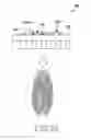 Fig. 06 - Method of acquiring biometric data and electronic device therefor