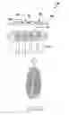 Fig. 08 - Method of acquiring biometric data and electronic device therefor