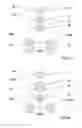 Fig. 04 - Method for assigning particular classes of interest within measurement data