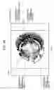 Fig. 49 - Apparatus, system, and method of controlling display, and recording medium