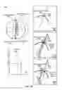 Fig. 07 - Transition between binocular and monocular views