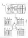 Fig. 08 - Audio message extraction