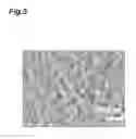 Fig. 06 - Target for ultraviolet light generation, and method for manufacturing same