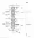 Fig. 01 - Image sensor and electronic apparatus including the same