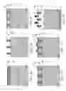 Fig. 06 - Electronic device using group III nitride semiconductor and its fabrication method