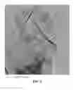Fig. 06 - Flexible and shape-conformal cable-shape alkali metal-sulfur batteries