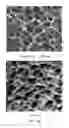 Fig. 08 - Flexible and shape-conformal cable-shape alkali metal-sulfur batteries