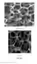 Fig. 09 - Flexible and shape-conformal cable-shape alkali metal-sulfur batteries