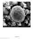 Fig. 05 - High-voltage ternary positive electrode material for lithium-ion battery and preparation method thereof