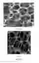 Fig. 09 - Process for Flexible and Shape-Conformal Cable-Shape Alkali Metal-Sulfur Batteries