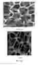 Fig. 09 - Process for flexible and shape-conformal rope-shape alkali metal-sulfur batteries