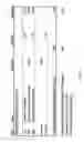 Fig. 09 - Fuel cell stack