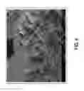 Fig. 05 - Nanoscale pore structure cathode for high power applications and material synthesis methods