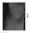 Fig. 06 - Nanoscale pore structure cathode for high power applications and material synthesis methods