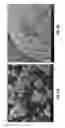 Fig. 07 - Nanoscale pore structure cathode for high power applications and material synthesis methods
