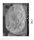 Fig. 08 - Nanoscale pore structure cathode for high power applications and material synthesis methods